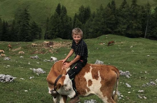 tiere-auf-dem-bauernhof-in-seis-am-schlern (3)