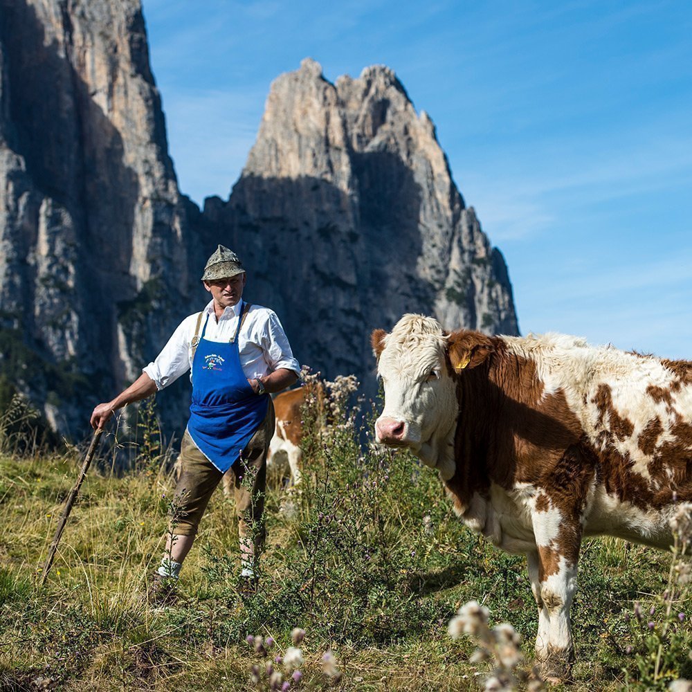 Urlaub in Seis am Schlern Dolomiten – Südtirol