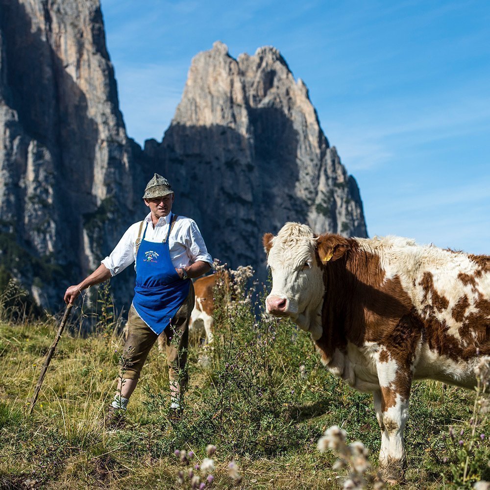 Urlaub Am Bauernhof In Seis Am Schlern Sudtirol