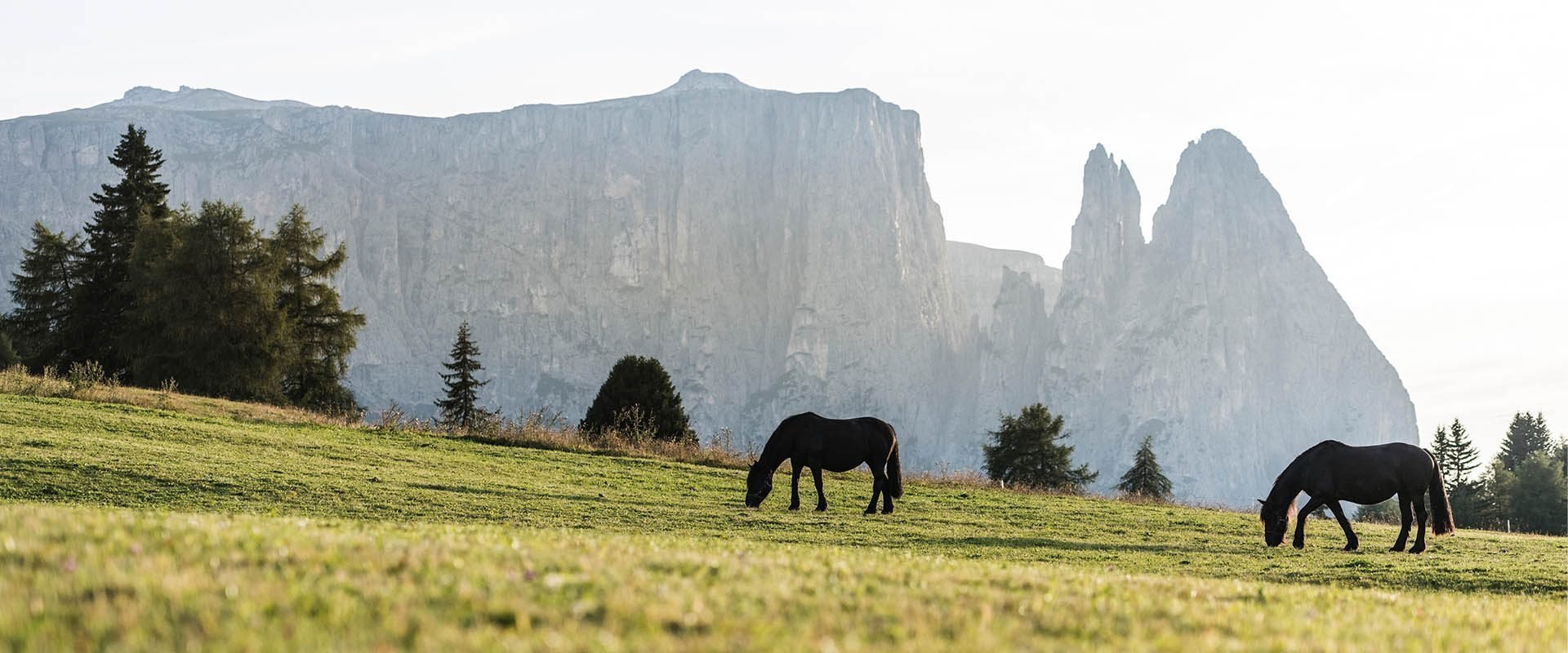 Urlaub auf dem Bauernhof in Seis am Schlern – Südtirol